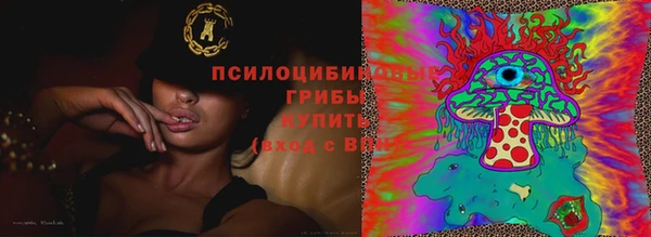 амф Арсеньев