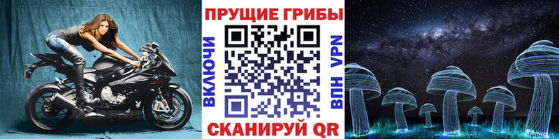 Галлюциногенные грибы прущие грибы  Пущино 